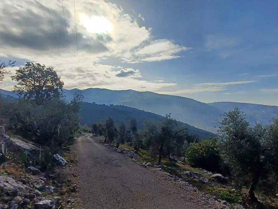 Immagine 41 di Casa indipendente in vendita  in Camminate di Sotto a Bassiano