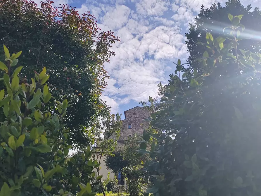 Immagine 15 di Appartamento in vendita  in piazza Annunziata a Amaseno