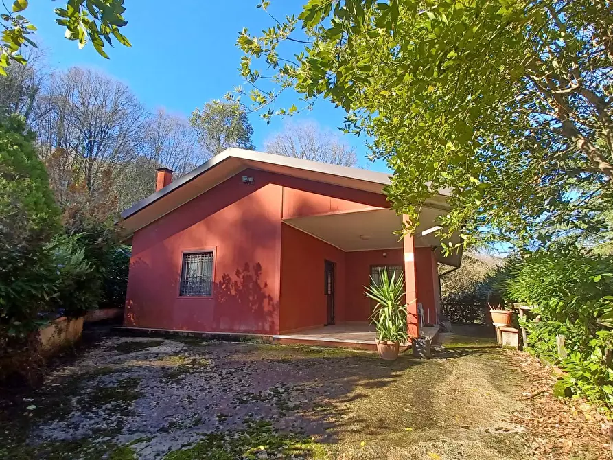 Immagine 3 di Casa indipendente in vendita  in Campo Lupino a Arnara
