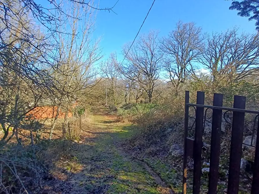 Immagine 9 di Casa indipendente in vendita  in Campo Lupino a Arnara