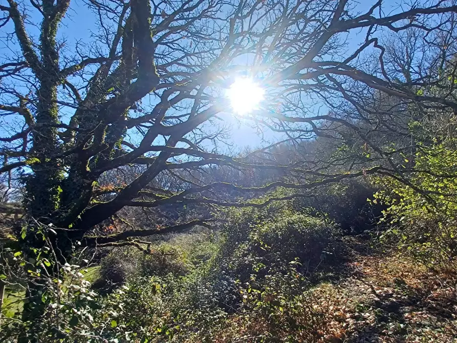 Immagine 11 di Casa indipendente in vendita  in Campo Lupino a Arnara