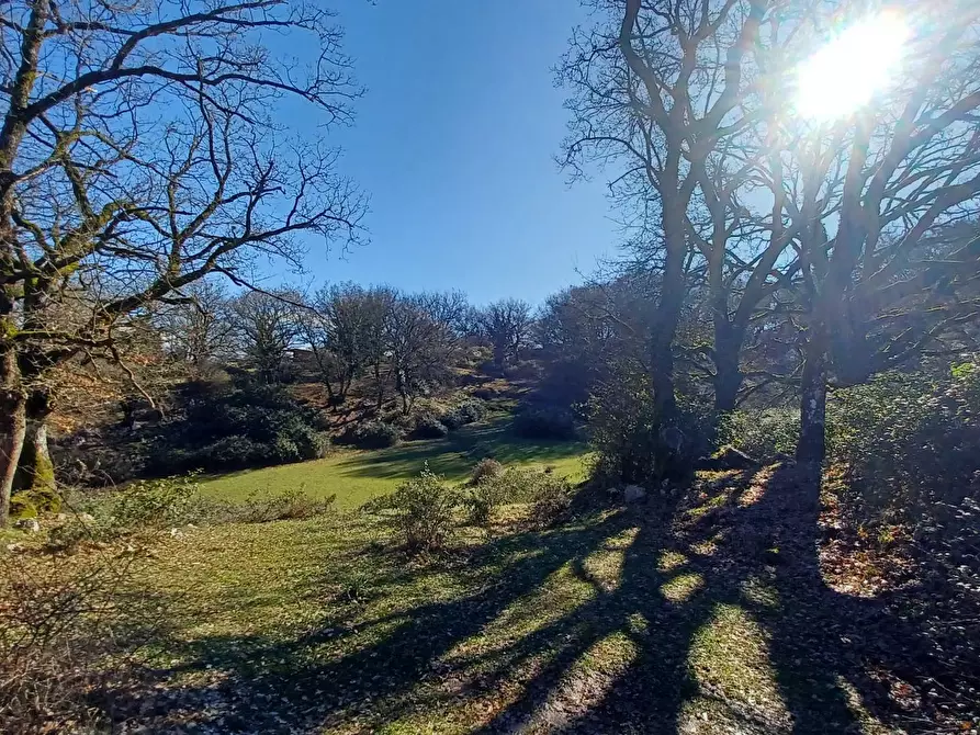 Immagine 13 di Casa indipendente in vendita  in Campo Lupino a Arnara