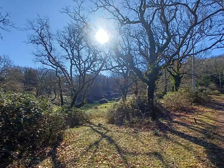 Immagine 14 di Casa indipendente in vendita  in Campo Lupino a Arnara