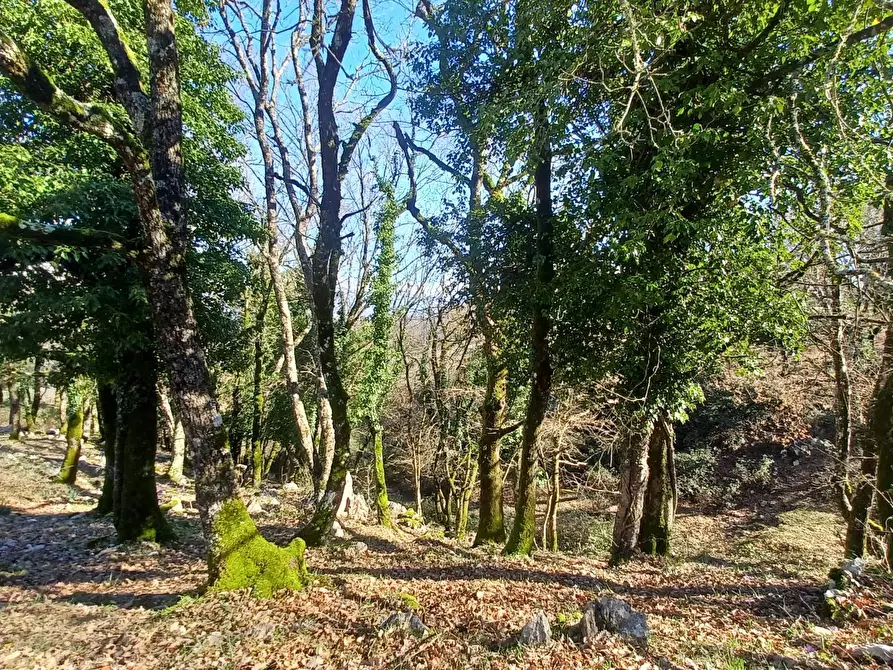 Immagine 15 di Casa indipendente in vendita  in Campo Lupino a Arnara