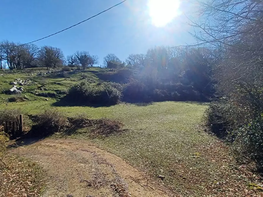 Immagine 16 di Casa indipendente in vendita  in Campo Lupino a Arnara