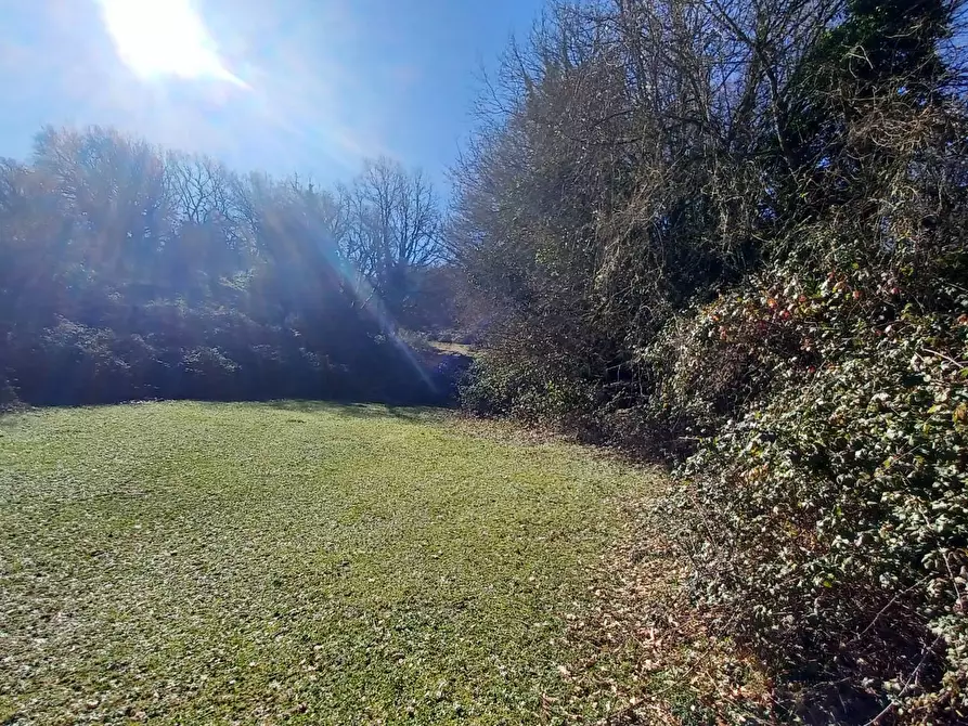 Immagine 17 di Casa indipendente in vendita  in Campo Lupino a Arnara
