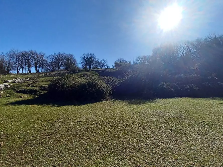 Immagine 18 di Casa indipendente in vendita  in Campo Lupino a Arnara