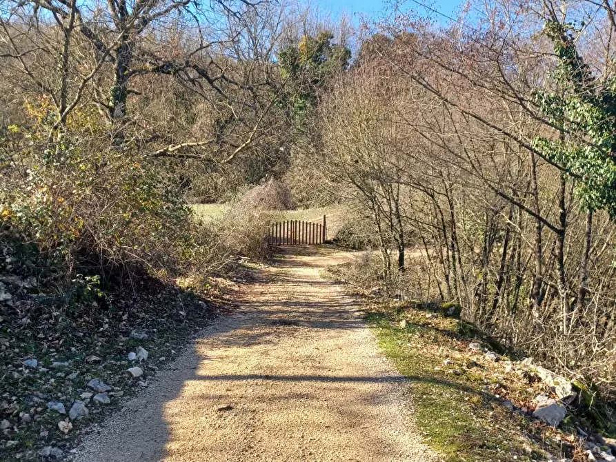 Immagine 19 di Casa indipendente in vendita  in Campo Lupino a Arnara