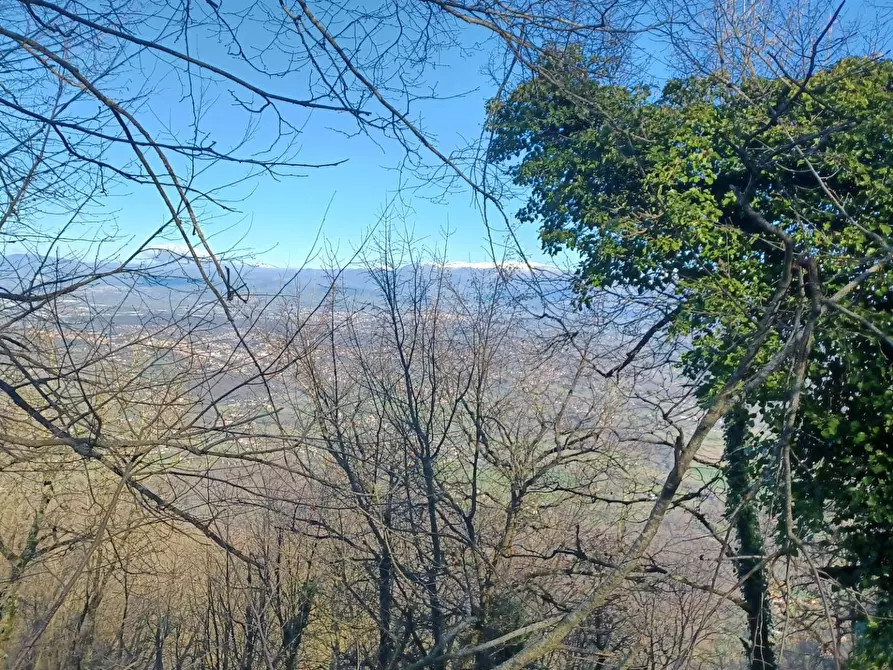 Immagine 21 di Casa indipendente in vendita  in Campo Lupino a Arnara