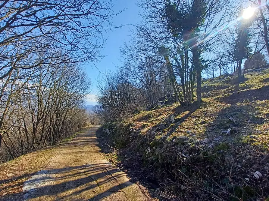Immagine 22 di Casa indipendente in vendita  in Campo Lupino a Arnara