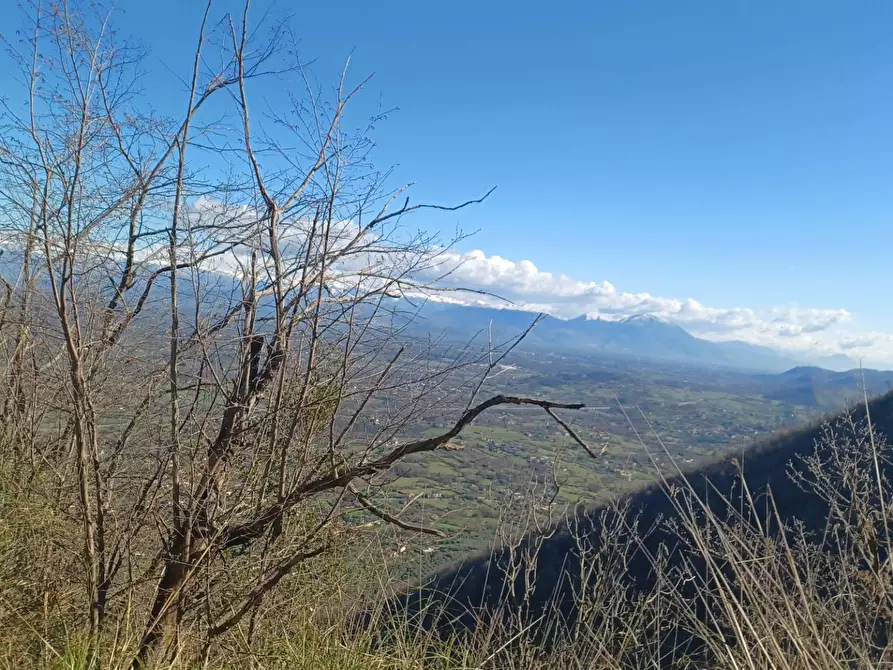 Immagine 27 di Casa indipendente in vendita  in Campo Lupino a Arnara