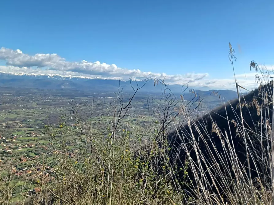 Immagine 28 di Casa indipendente in vendita  in Campo Lupino a Arnara