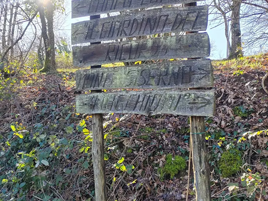Immagine 31 di Casa indipendente in vendita  in Campo Lupino a Arnara