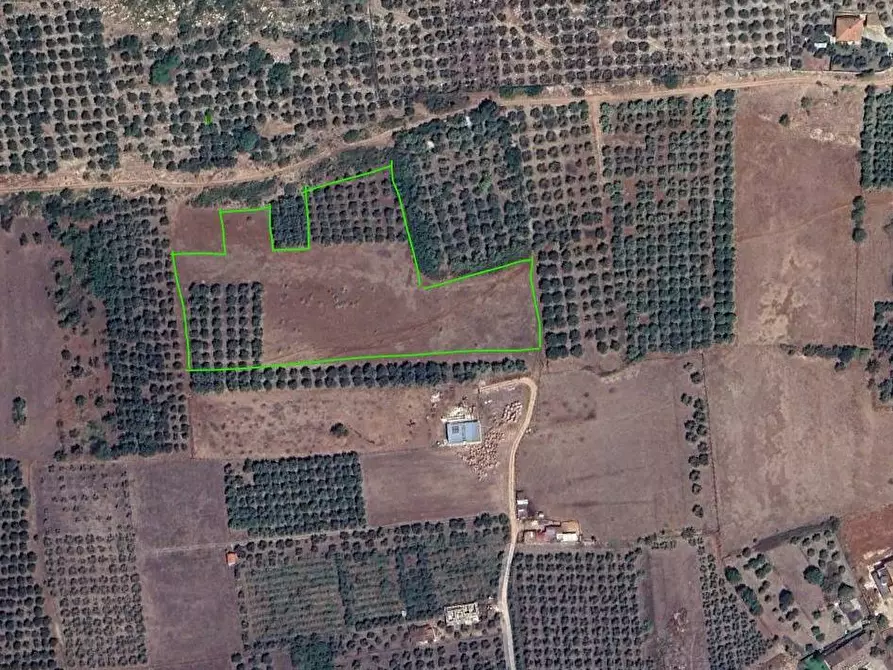 Immagine 1 di Terreno agricolo in vendita  in Via Stradone Delle Grotte a Priverno