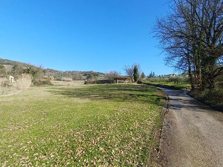 Immagine 8 di Casa indipendente in vendita  in Contrada Colle Capito a Veroli