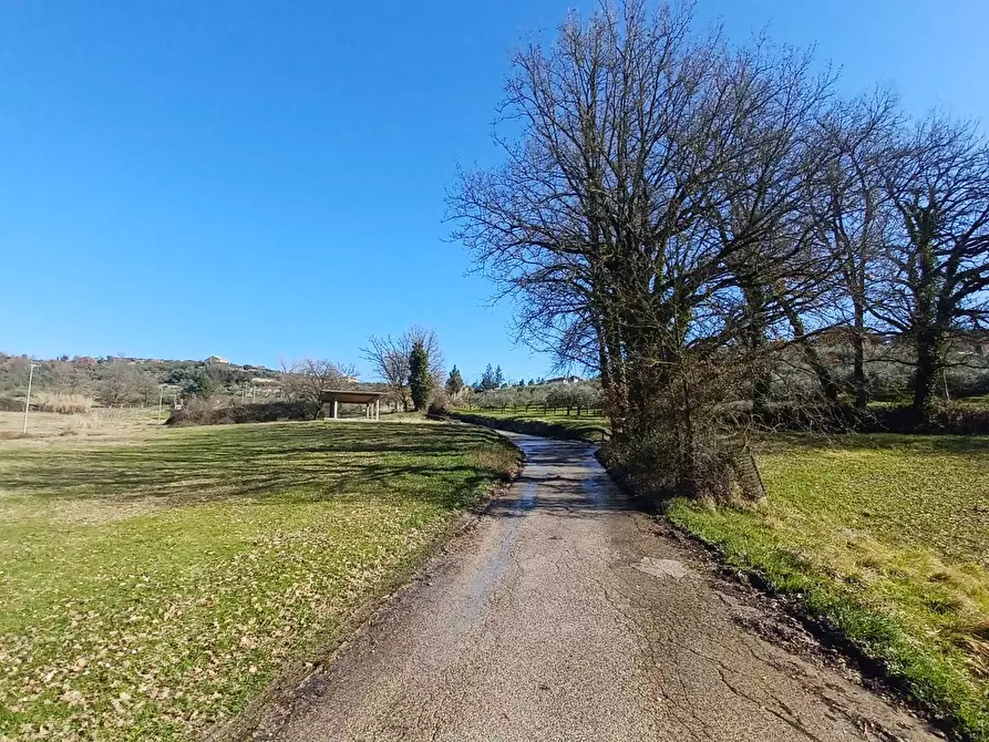Immagine 9 di Casa indipendente in vendita  in Contrada Colle Capito a Veroli