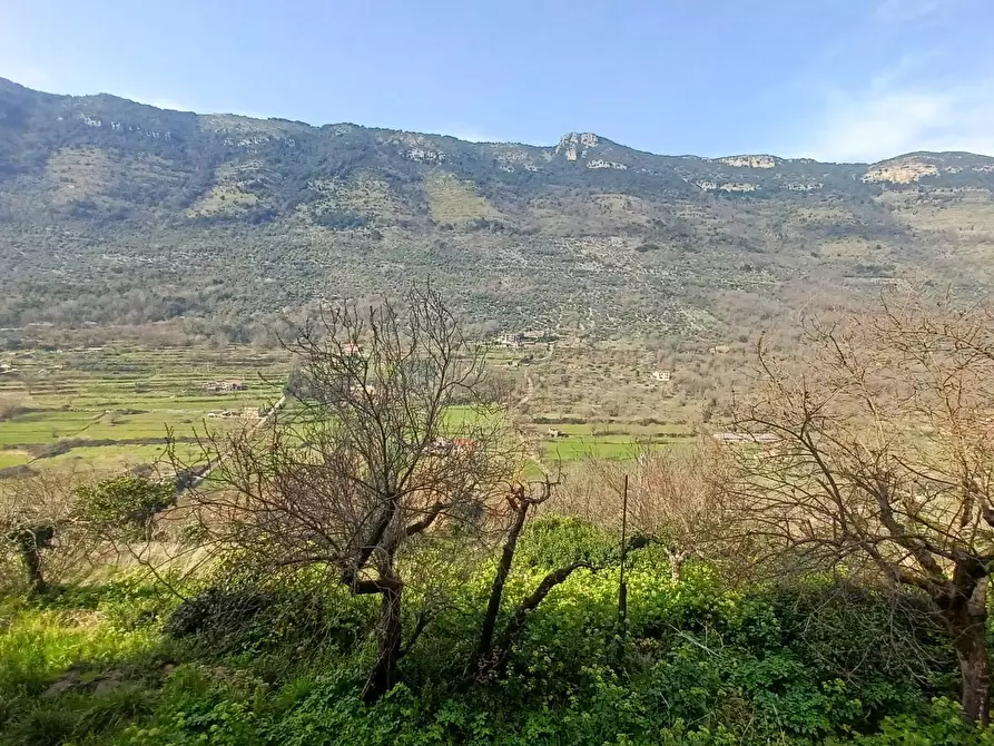 Immagine 14 di Appartamento in vendita  in Via Utrina a Arnara