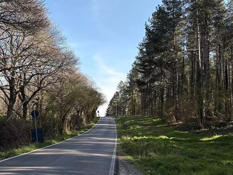 Immagine 19 di Appartamento in vendita  in via zuccari 170 a Viterbo
