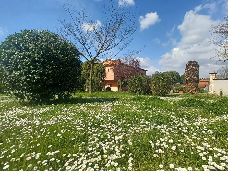 Immagine 8 di Villa in vendita  in Via Fosso Del Lupo a Anagni