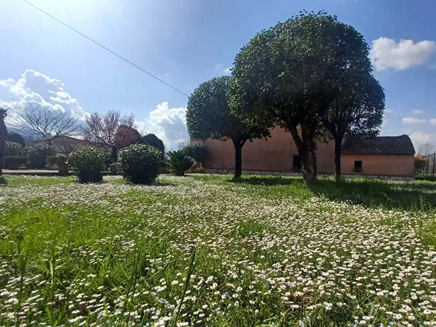 Immagine 10 di Villa in vendita  in Via Fosso Del Lupo a Anagni