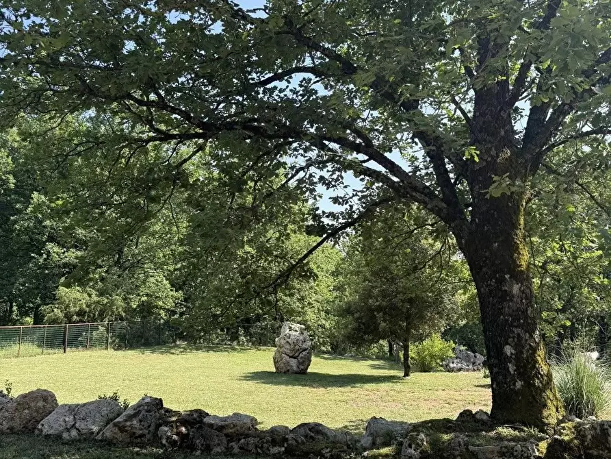 Immagine 20 di Casa indipendente in affitto  a Vico Nel Lazio