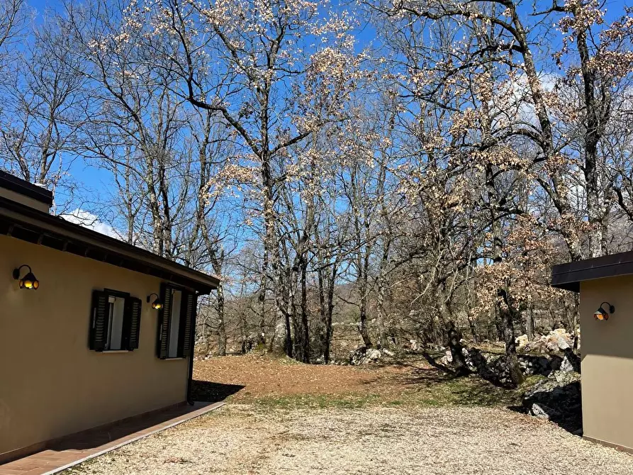 Immagine 16 di Casa indipendente in affitto  a Vico Nel Lazio