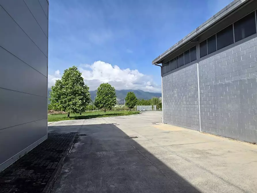 Immagine 3 di Capannone industriale in vendita  in via forma coperta a Ferentino