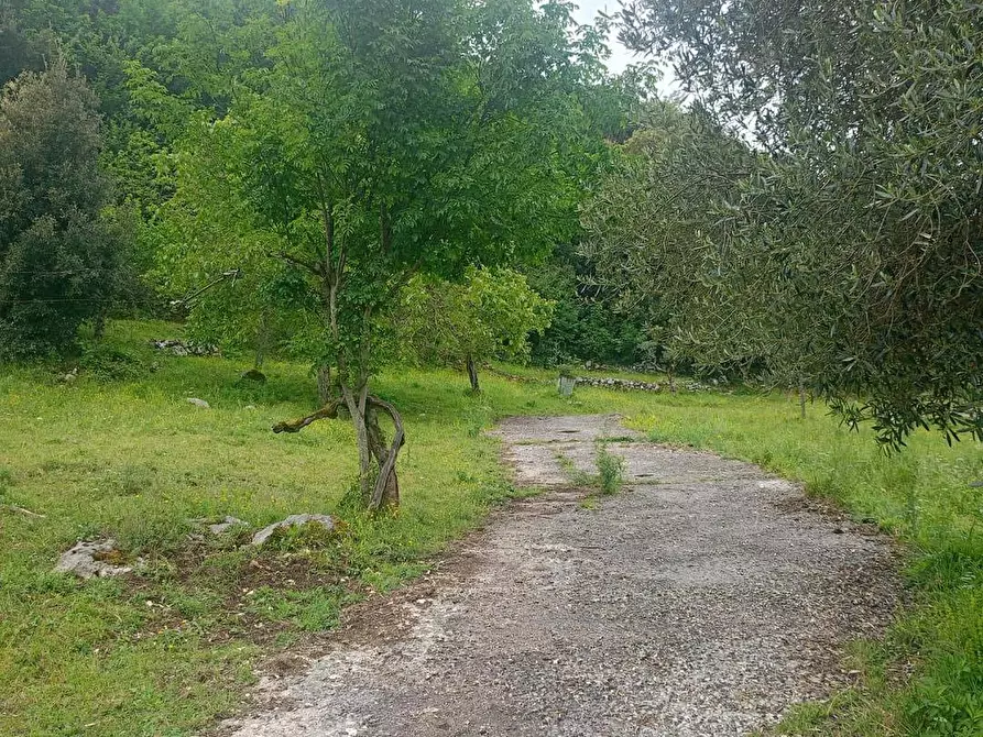 Immagine 21 di Casa indipendente in vendita  in Via San Sebastiano 1 Traversa a Carpineto Romano