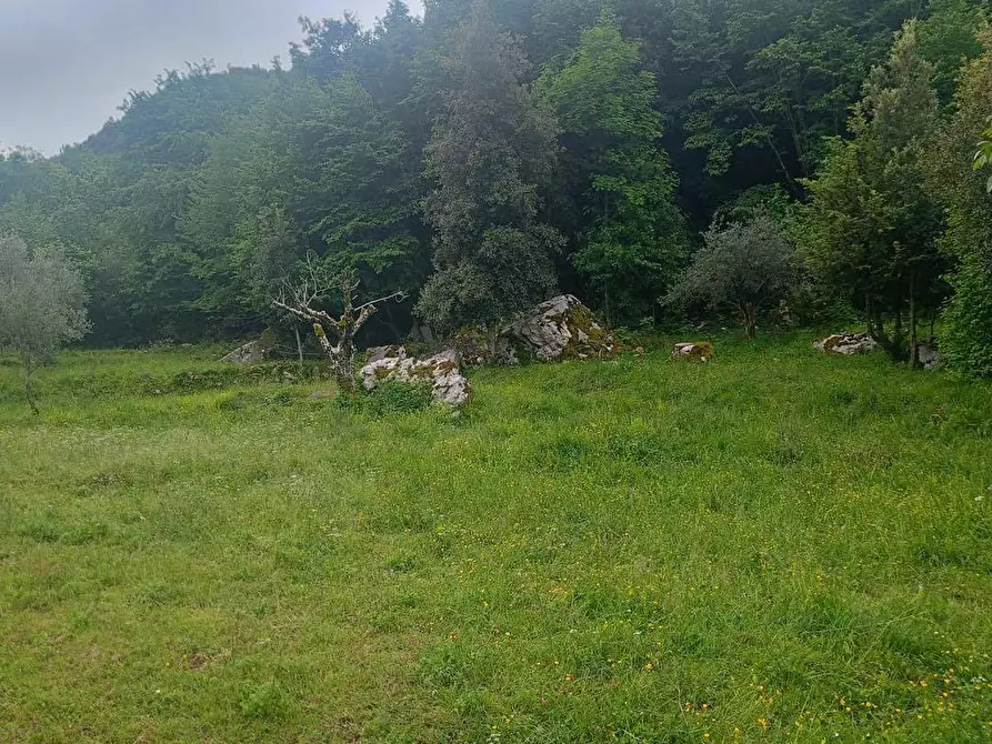 Immagine 22 di Casa indipendente in vendita  in Via San Sebastiano 1 Traversa a Carpineto Romano