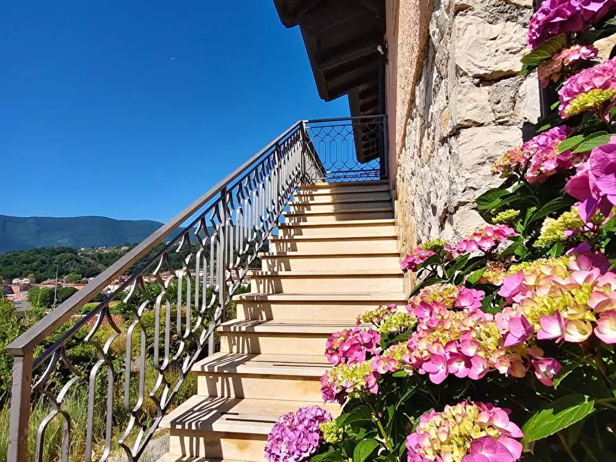 Immagine 3 di Casa indipendente in vendita  13 a Ceccano
