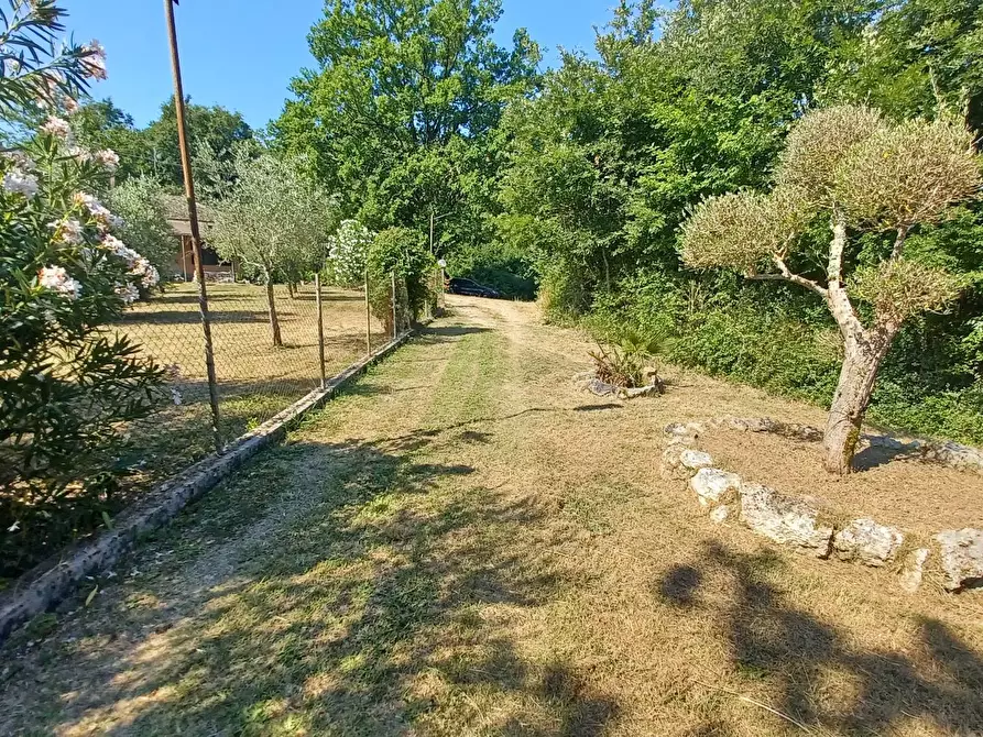 Immagine 3 di Casa indipendente in vendita  in via Cavatelle 5 a Arnara