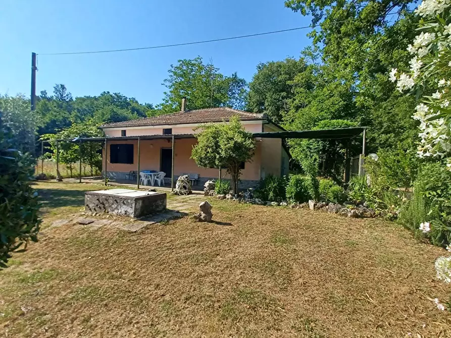 Immagine 4 di Casa indipendente in vendita  in via Cavatelle 5 a Arnara