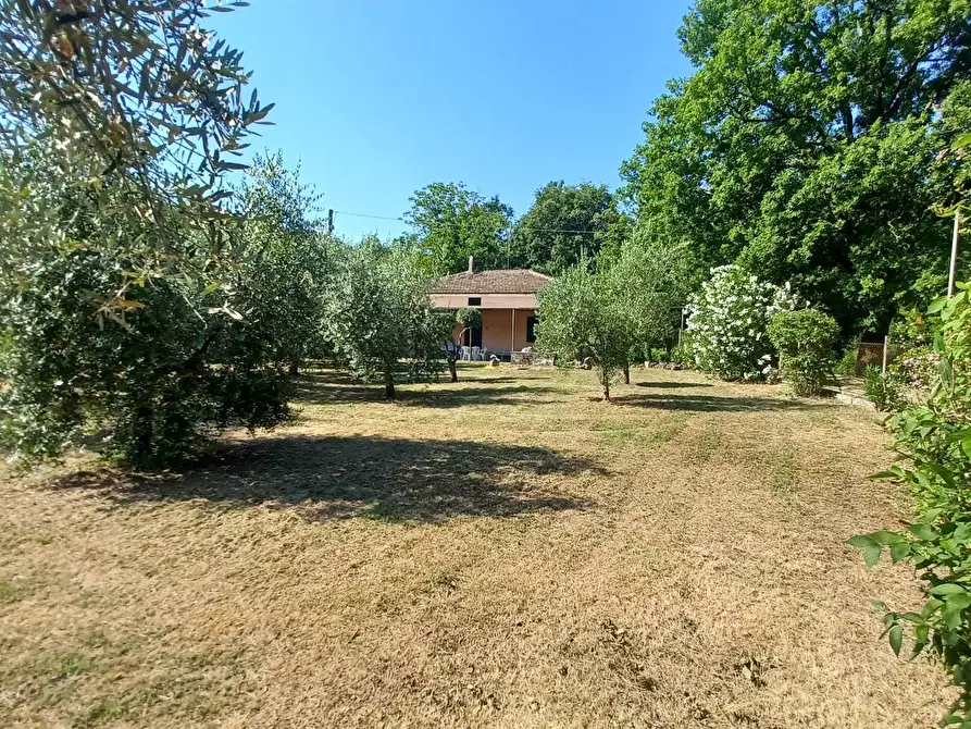 Immagine 7 di Casa indipendente in vendita  in via Cavatelle 5 a Arnara