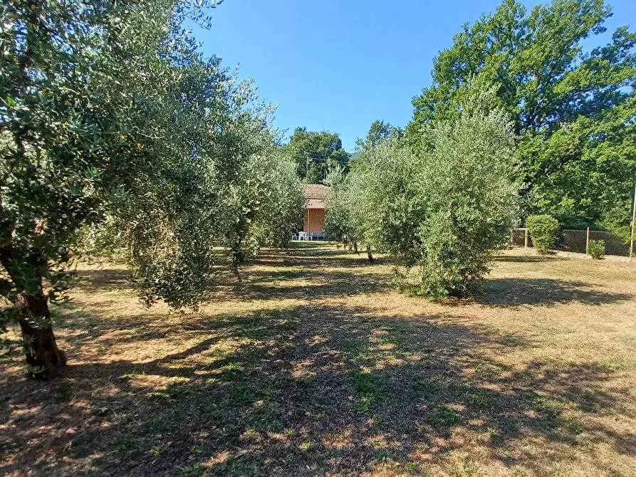 Immagine 8 di Casa indipendente in vendita  in via Cavatelle 5 a Arnara