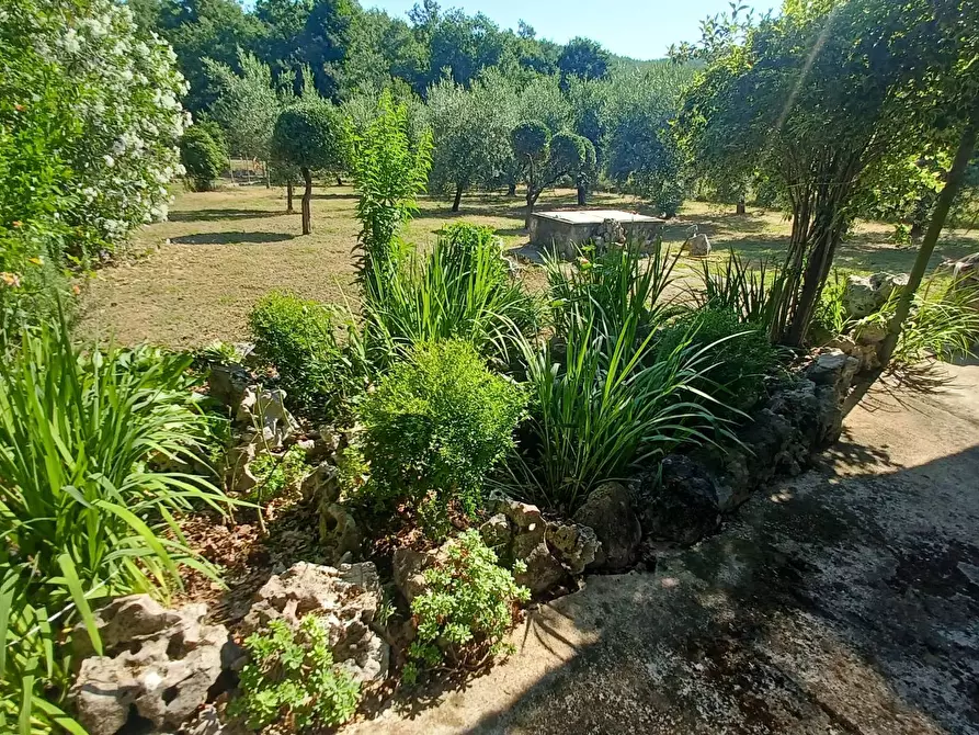Immagine 17 di Casa indipendente in vendita  in via Cavatelle 5 a Arnara