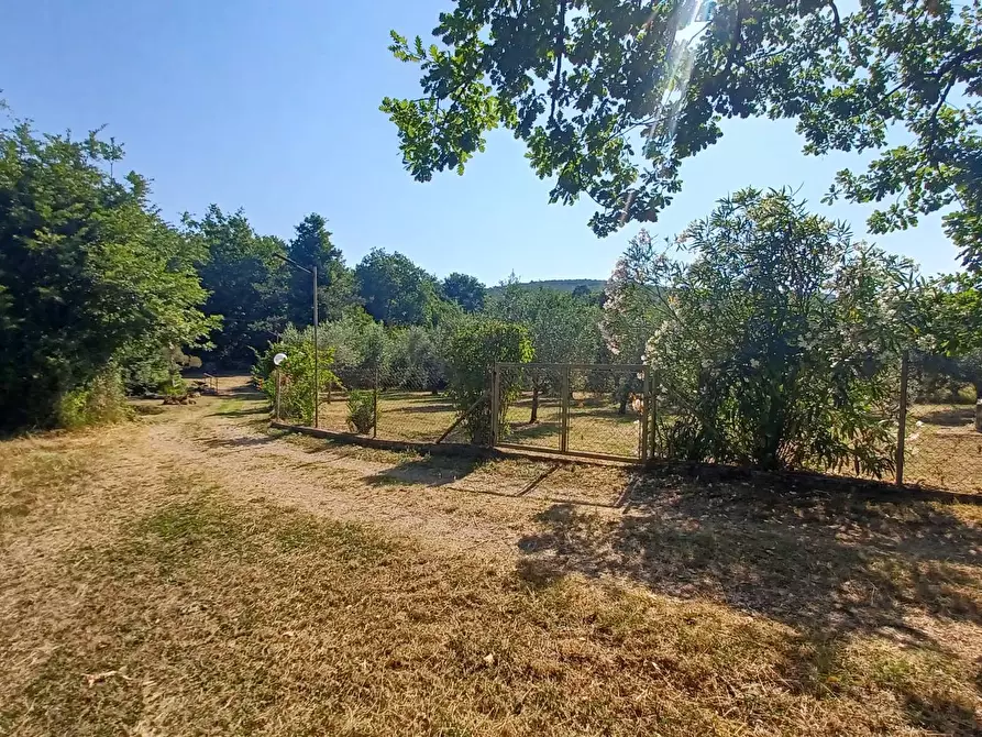 Immagine 20 di Casa indipendente in vendita  in via Cavatelle 5 a Arnara