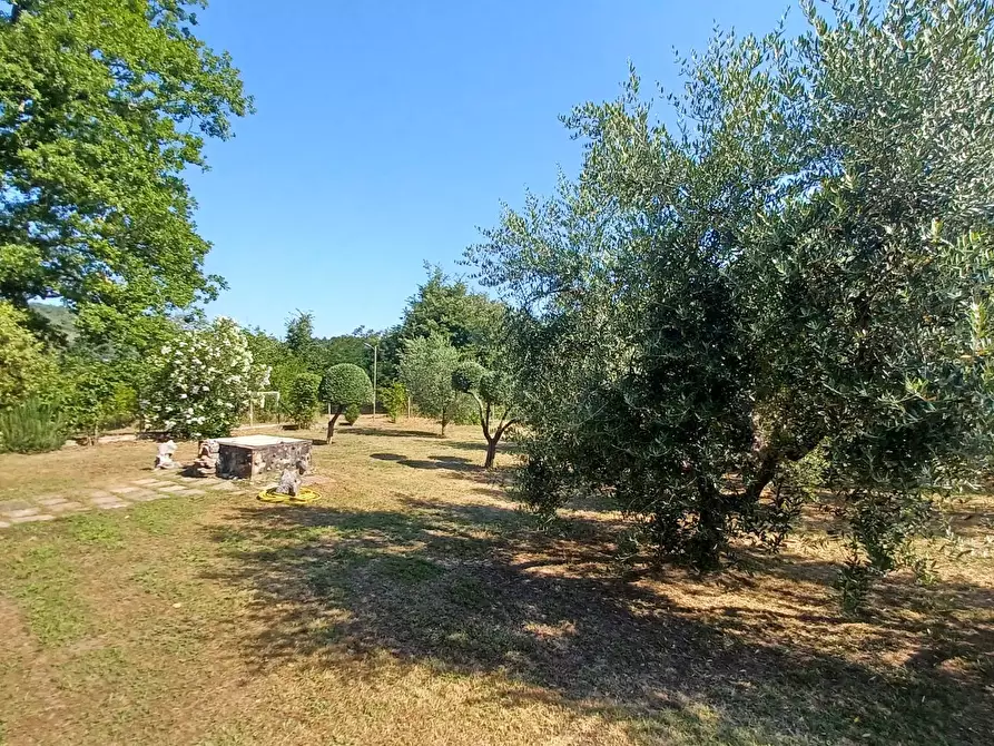Immagine 6 di Casa indipendente in vendita  in via Cavatelle 5 a Arnara
