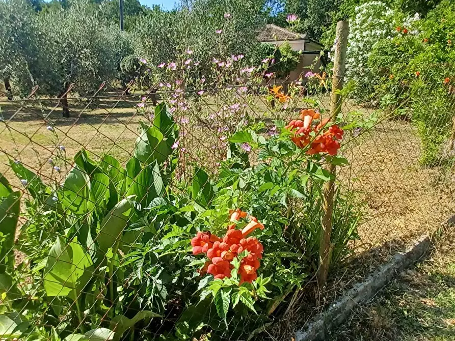 Immagine 40 di Casa indipendente in vendita  in via Cavatelle 5 a Arnara