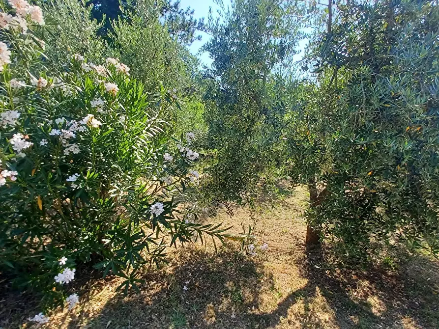 Immagine 41 di Casa indipendente in vendita  in via Cavatelle 5 a Arnara