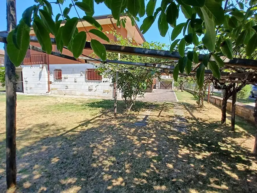 Immagine 21 di Villa in vendita  in Via Cannuccio 16 a Ceprano