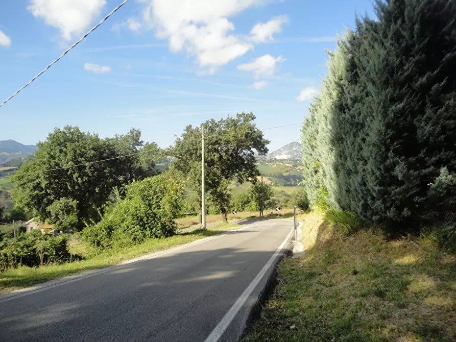 Immagine 4 di Villa in vendita  in Via Romita 14 a Cupramontana
