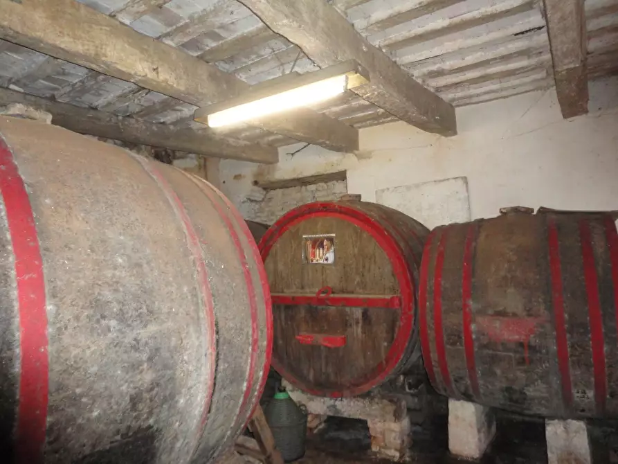 Immagine 6 di Rustico / casale in vendita  in via Madonna della neve a Belvedere Ostrense