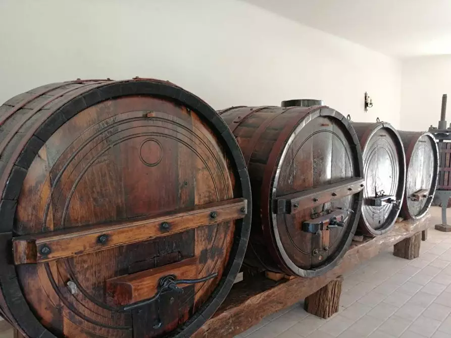 Immagine 25 di Villa in vendita  in Via Monticelli 6 a Castelplanio