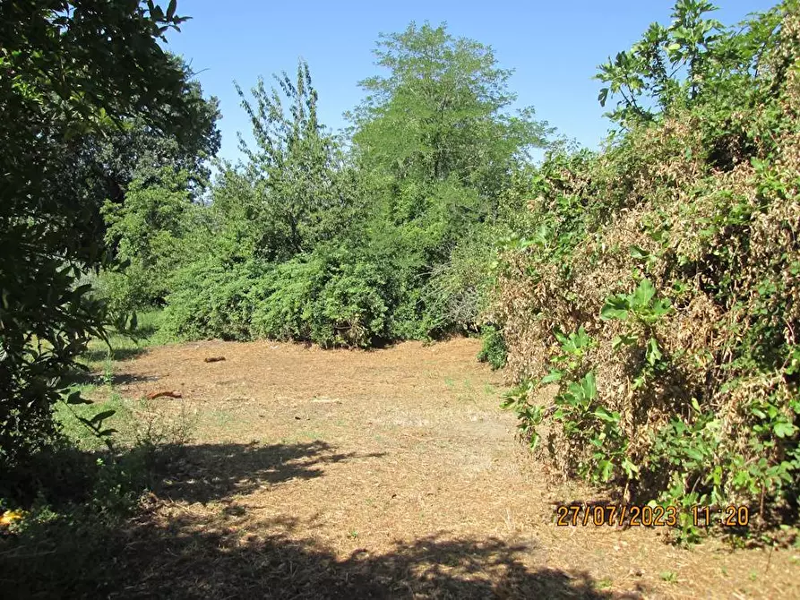 Immagine 10 di Locale commerciale in vendita  in Viale Liberta 56 a Cupramontana