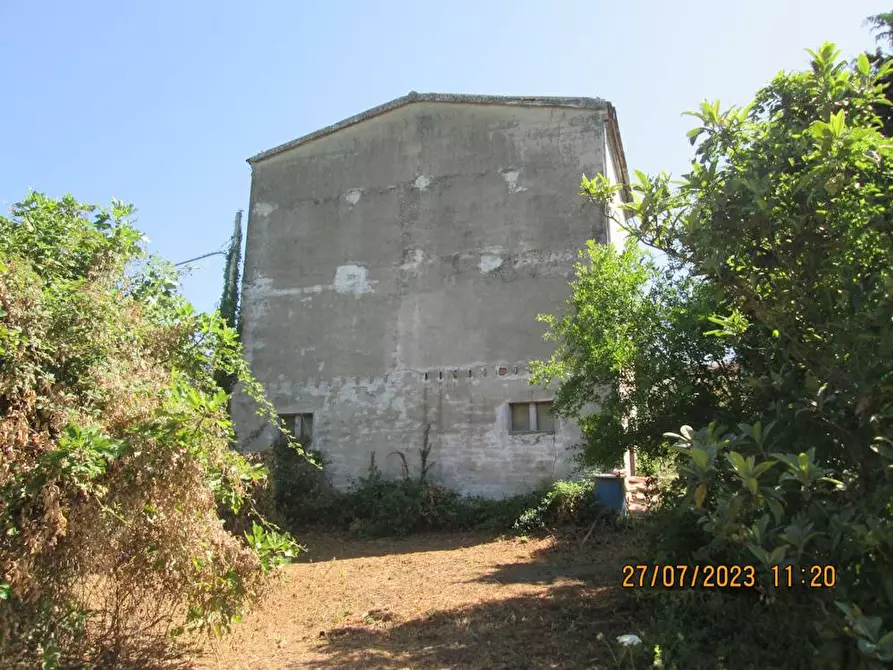 Immagine 8 di Locale commerciale in vendita  in Viale Liberta 56 a Cupramontana