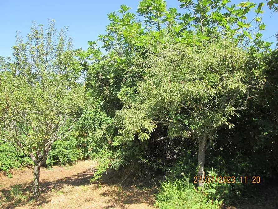 Immagine 5 di Locale commerciale in vendita  in Viale Liberta 56 a Cupramontana