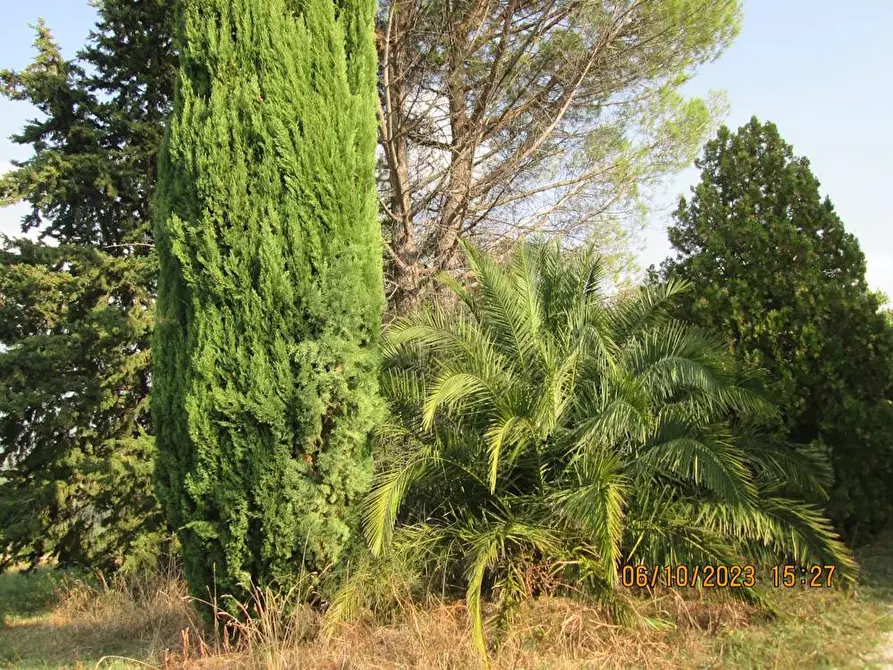 Immagine 4 di Villa in vendita  in via Torre 26/a a Cupramontana