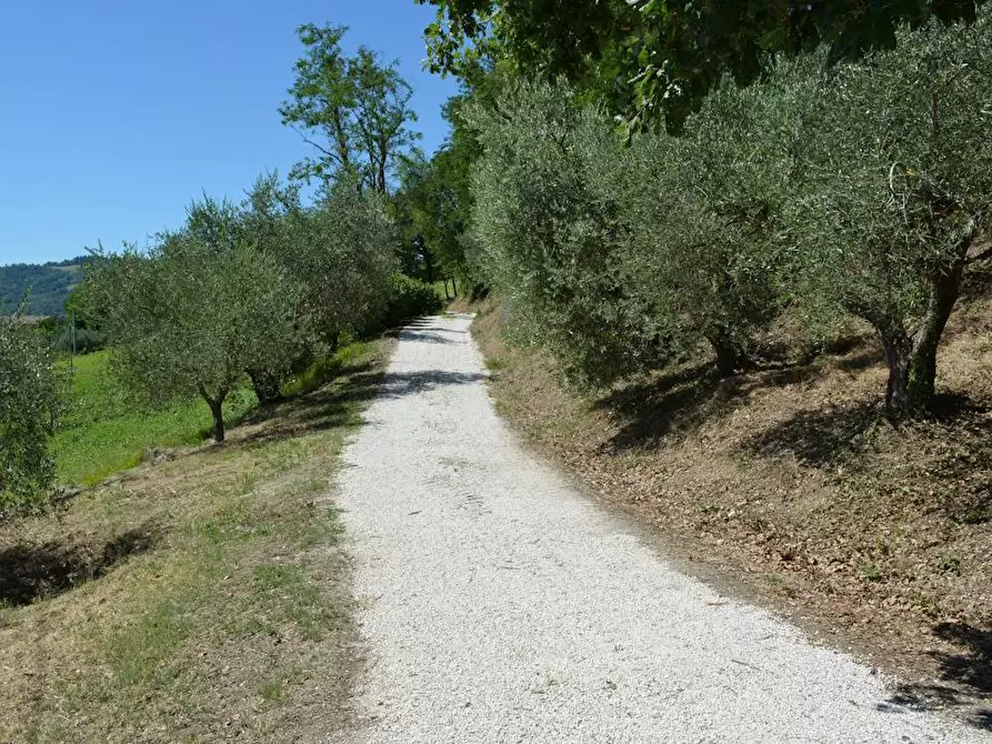 Immagine 31 di Villa in vendita  in Via Monticelli 6 a Castelplanio