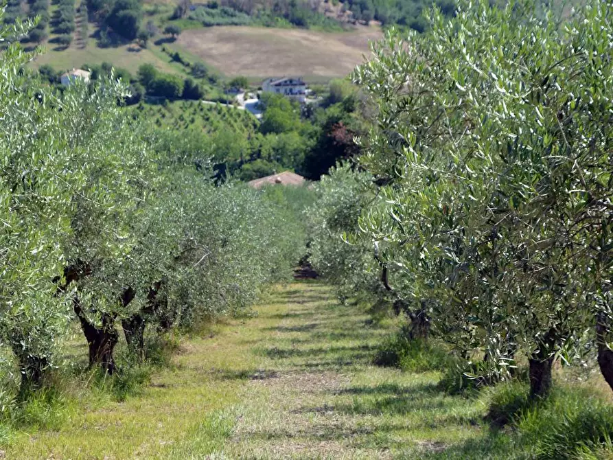 Immagine 14 di Villa in vendita  in Via Monticelli 6 a Castelplanio