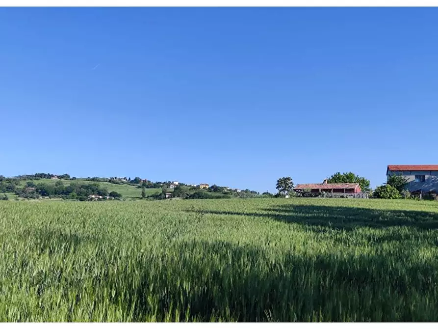 Immagine 1 di Terreno agricolo in vendita  a Serra De' Conti